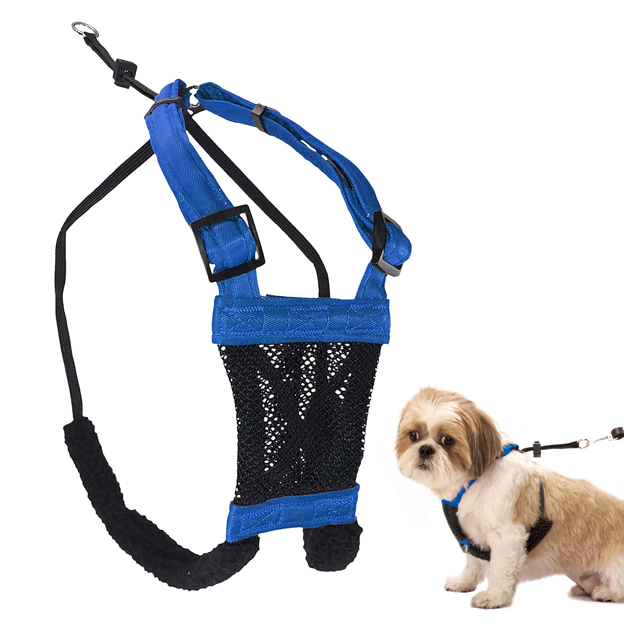 Sporn No-Pull Harness blue mesh front view for small dogs offers gentle control during walks
