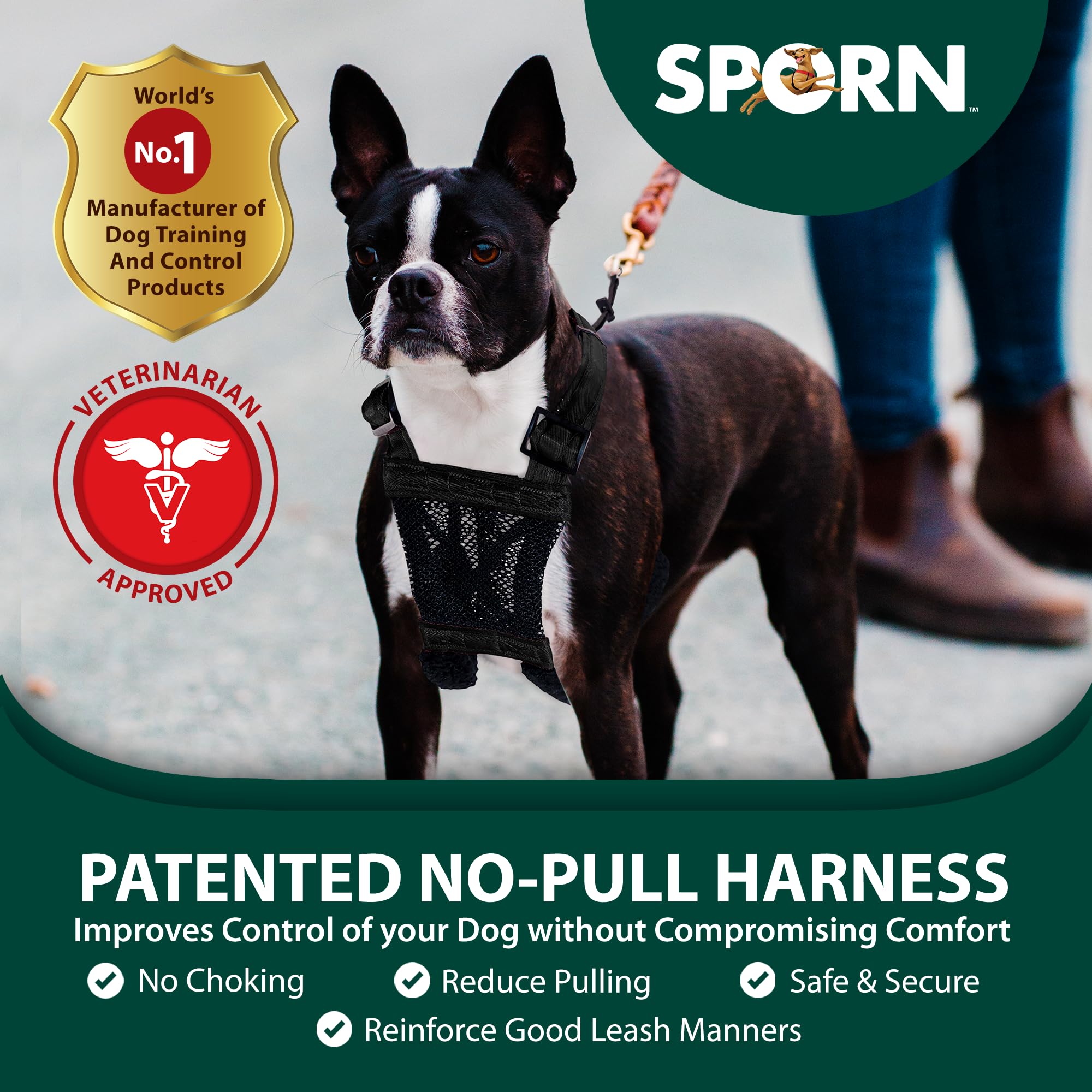 Sporn No Pull Harness small backstrap detail highlights secure fit for daily walks.
