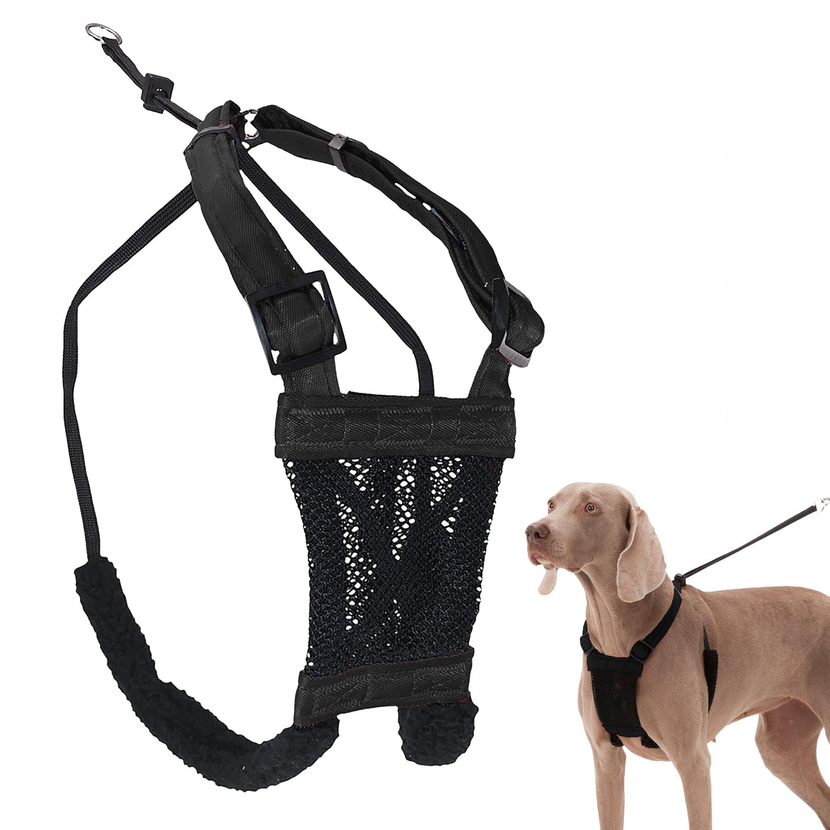 Sporn XL No-Pull Harness front view for easy on and a secure fit.