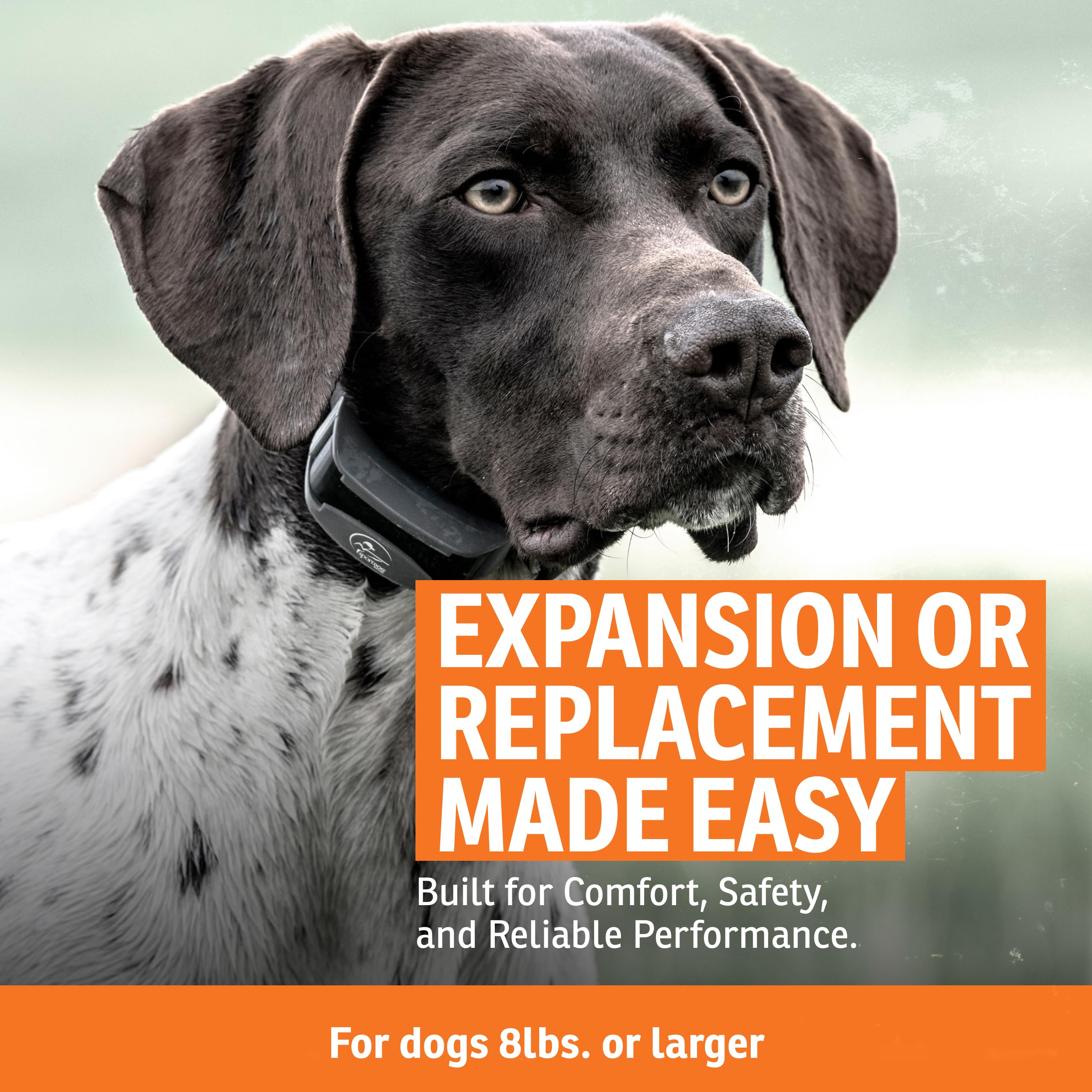 SportDOG Add-a-Dog Collar assembly connects second dog for shared training sessions