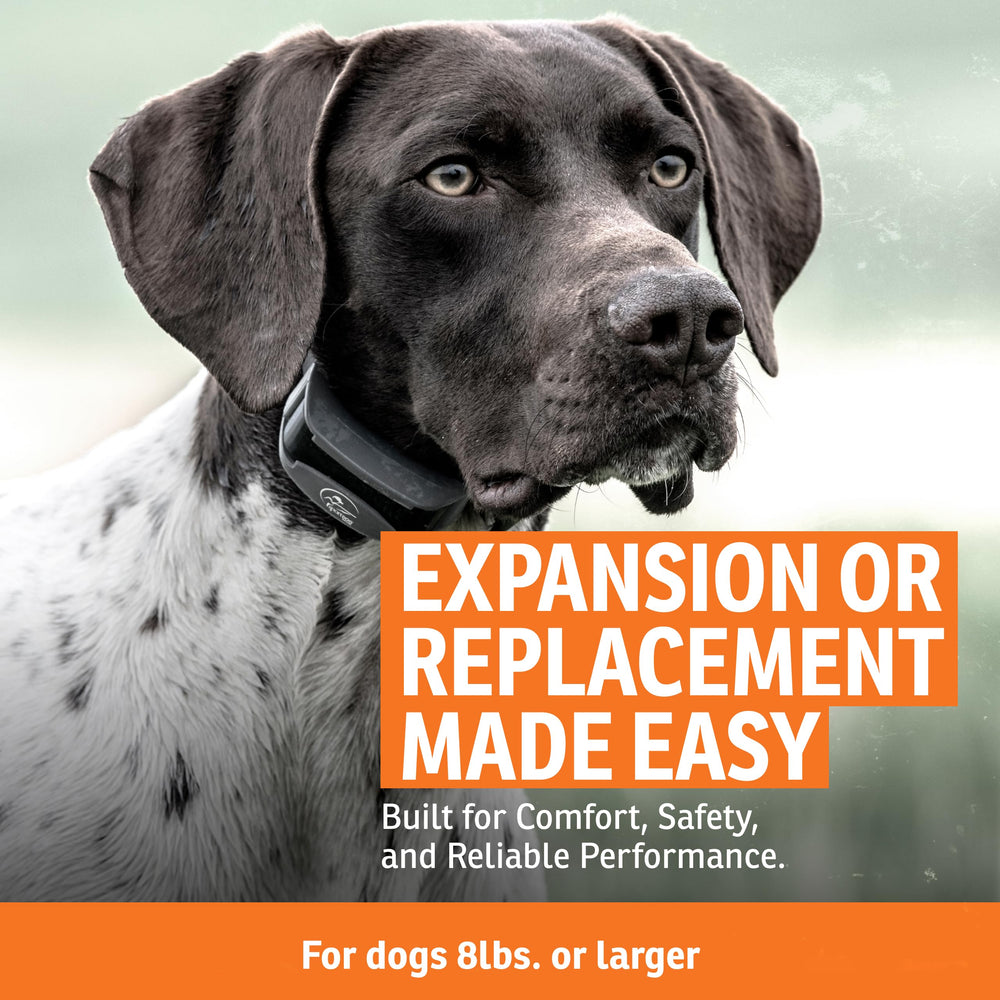 SportDOG Add-a-Dog Collar assembly connects second dog for shared training sessions