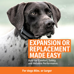 SportDOG Add-a-Dog Collar assembly connects second dog for shared training sessions