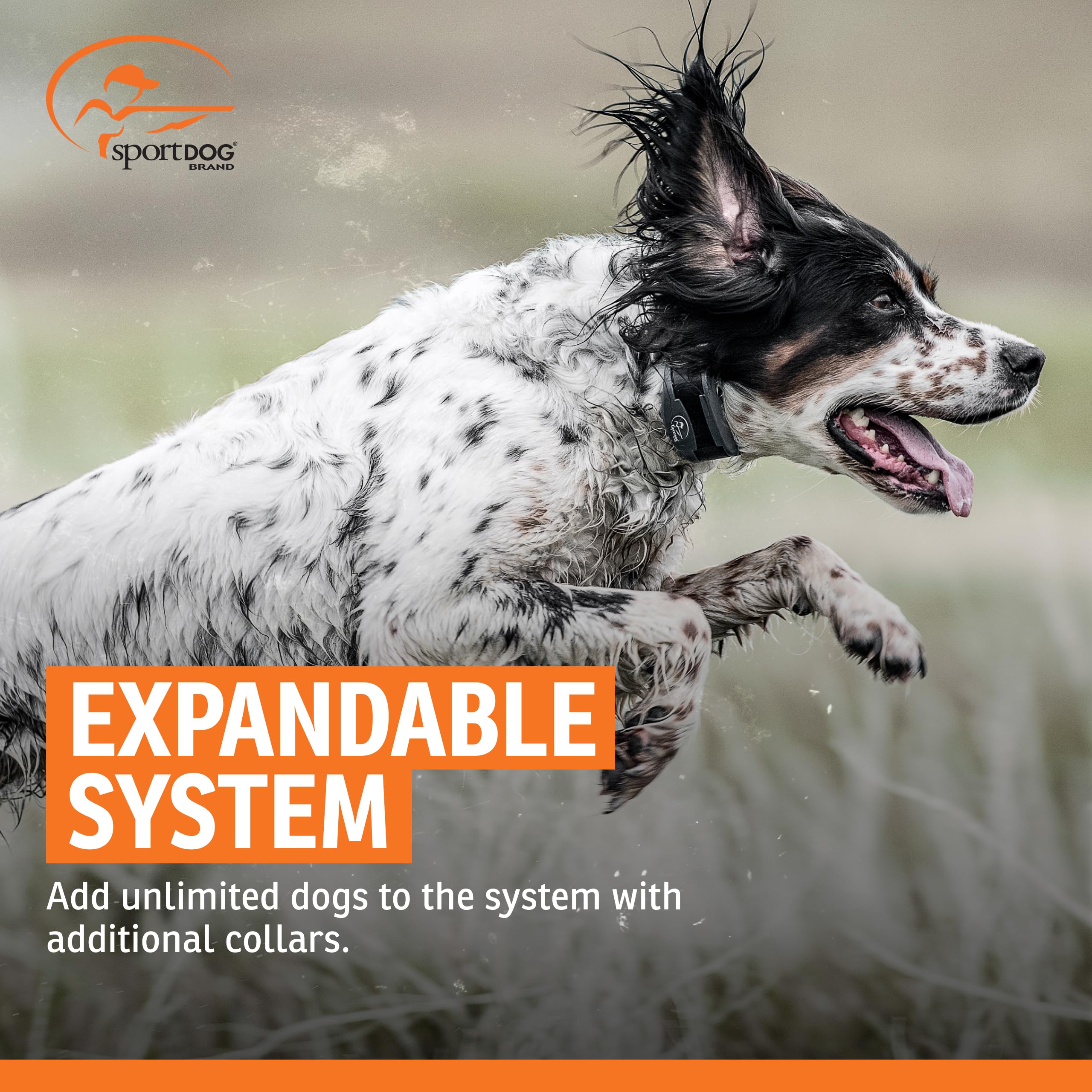 SportDOG charging cable ensures quick, full-day-ready collar battery.