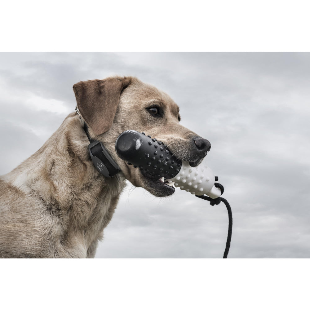 SportDOG FieldTrainer 425X tone vibration and static modes enable flexible training