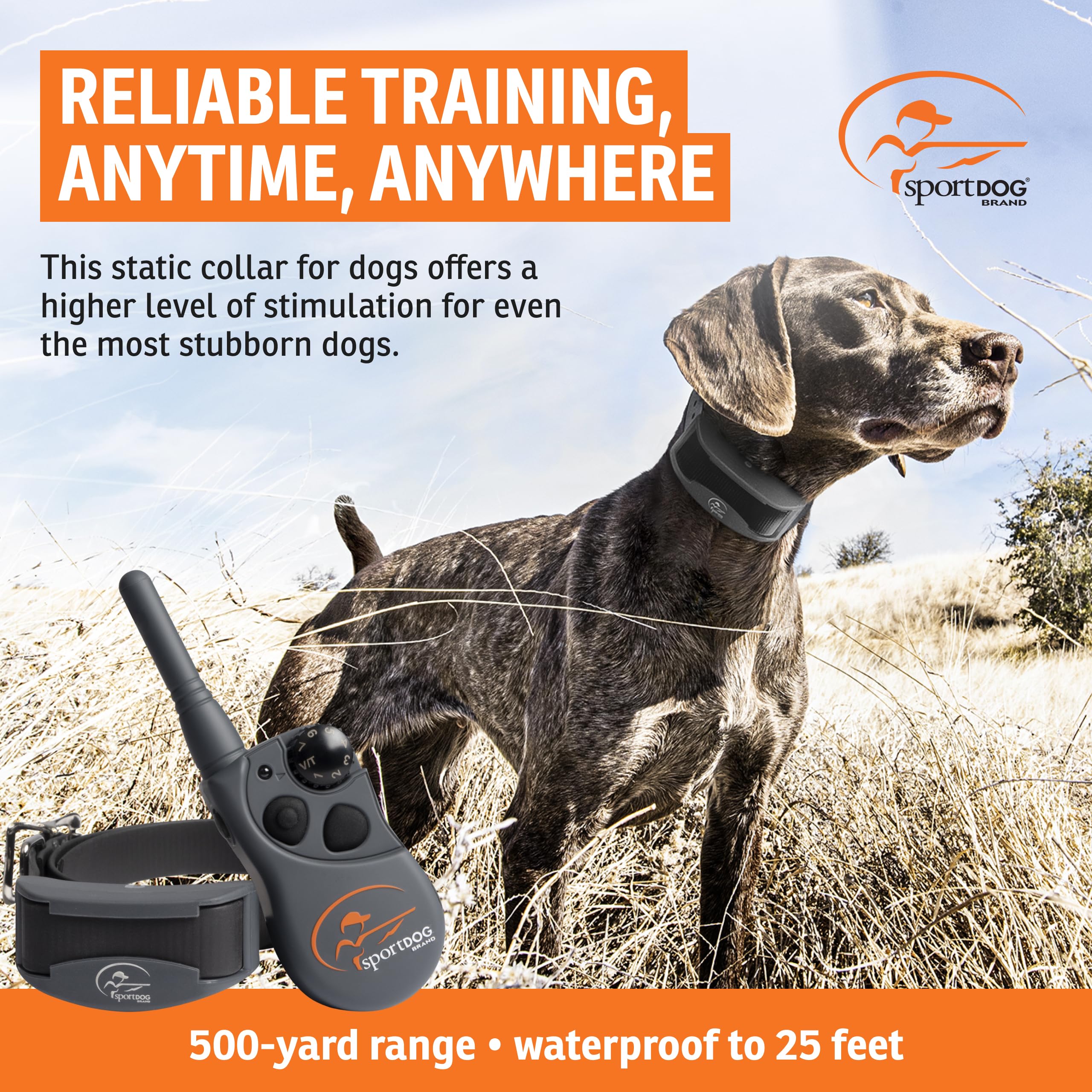 SportDOG FieldTrainer 425XS in action enables confident off-leash training.