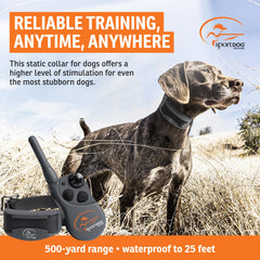 SportDOG FieldTrainer 425XS in action enables confident off-leash training.