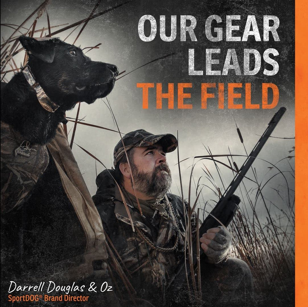 SportDOG lightweight receiver collar worn by dog for all-day wear