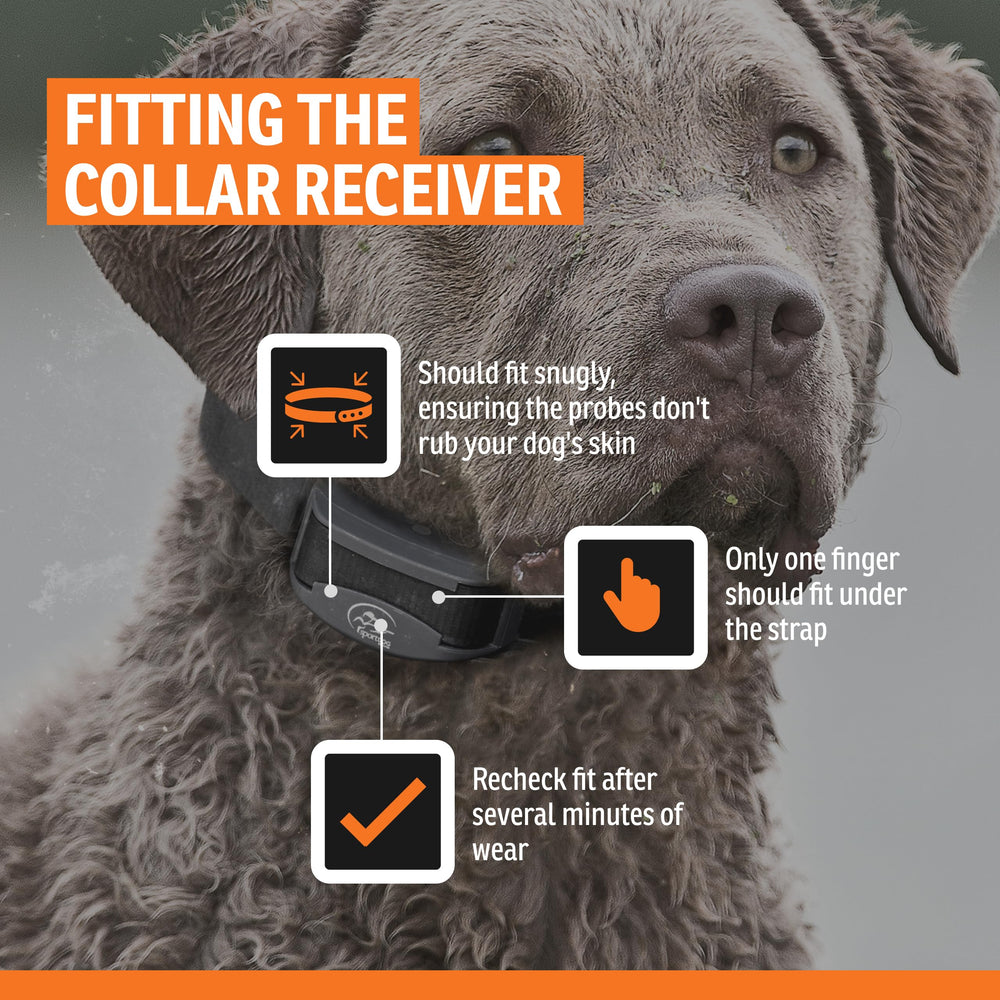 SportDOG Nobark 10 charging scene highlights quick 2 hour recharge