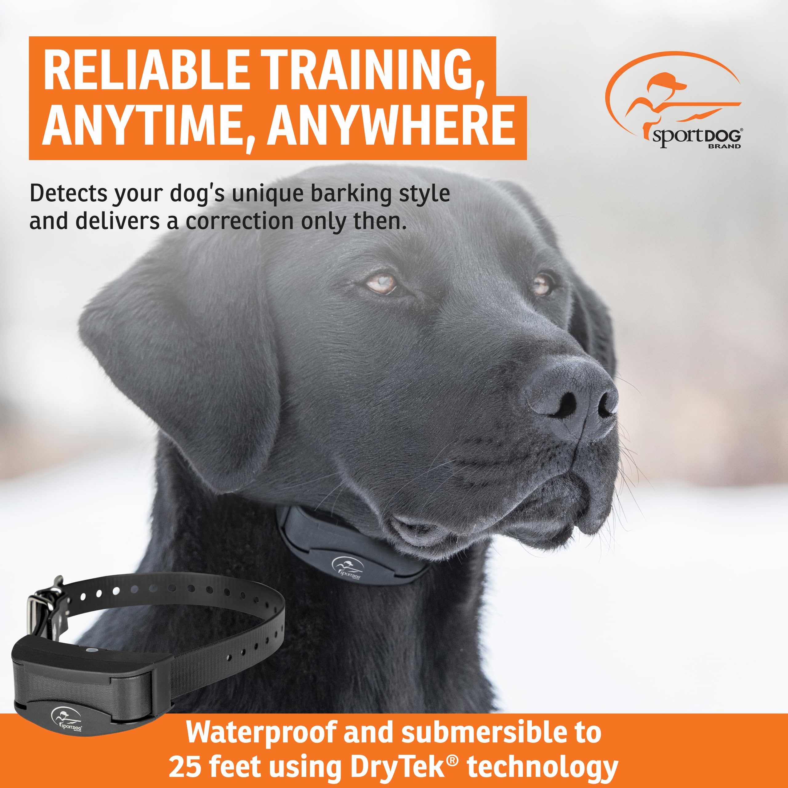 SportDOG Nobark 10 collar worn on dog demonstrates comfortable fit