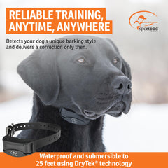 SportDOG Nobark 10 collar worn on dog demonstrates comfortable fit