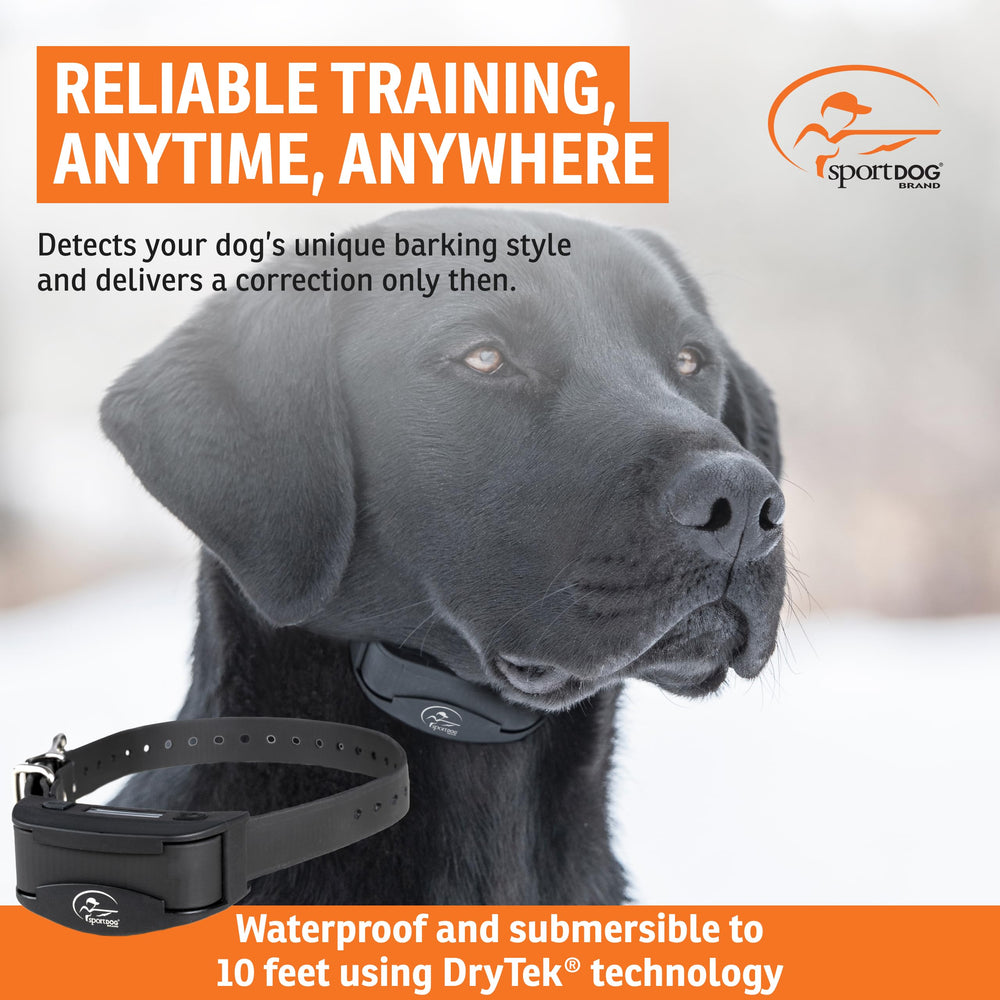SportDOG NoBark SBC-R OLED display and controls enable easy adjustments