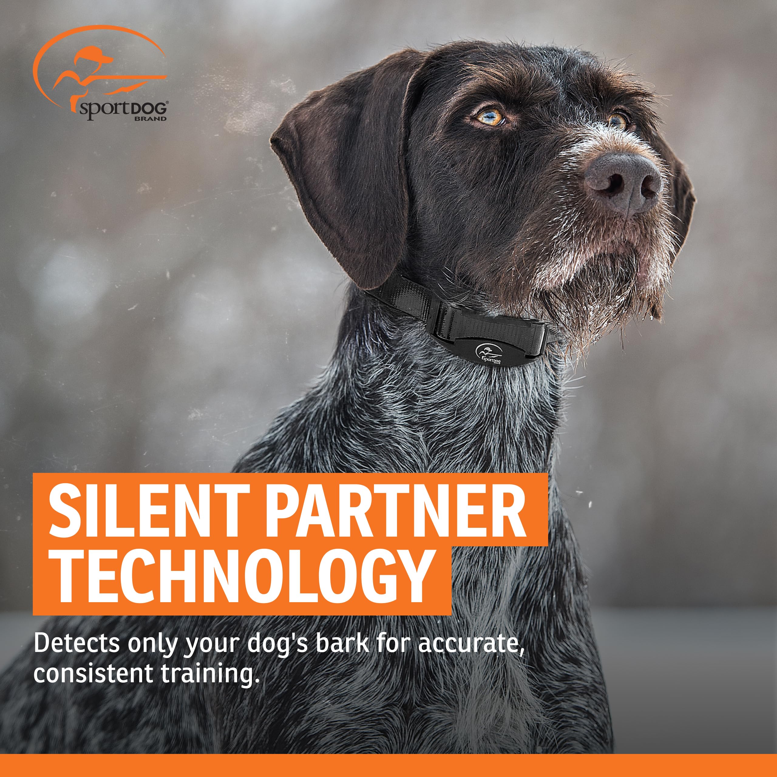 SportDOG NoBark SBC-R three training modes support humane bark control