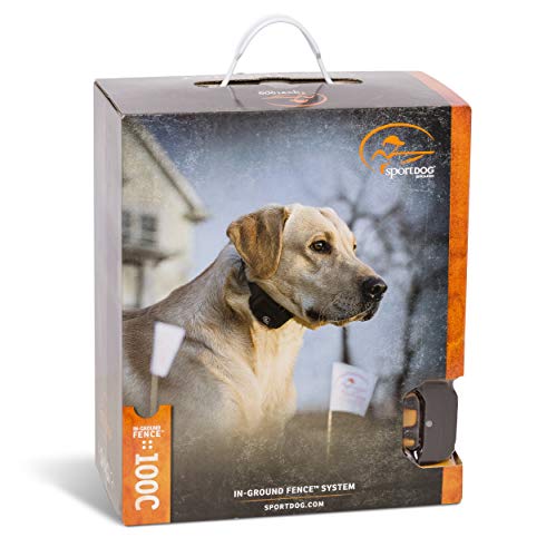 SportDOG outdoor training setup supports multi-dog containment and training sessions.