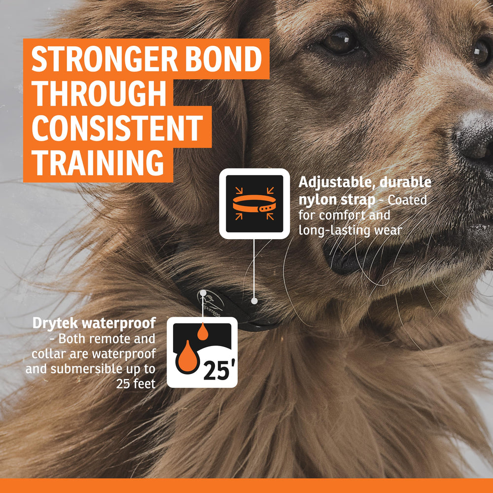 SportDOG waterproof collar ready for all-weather outdoor wear.