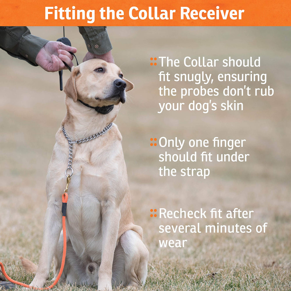 SportDOG weatherproof fence-system housing endures rugged field conditions.