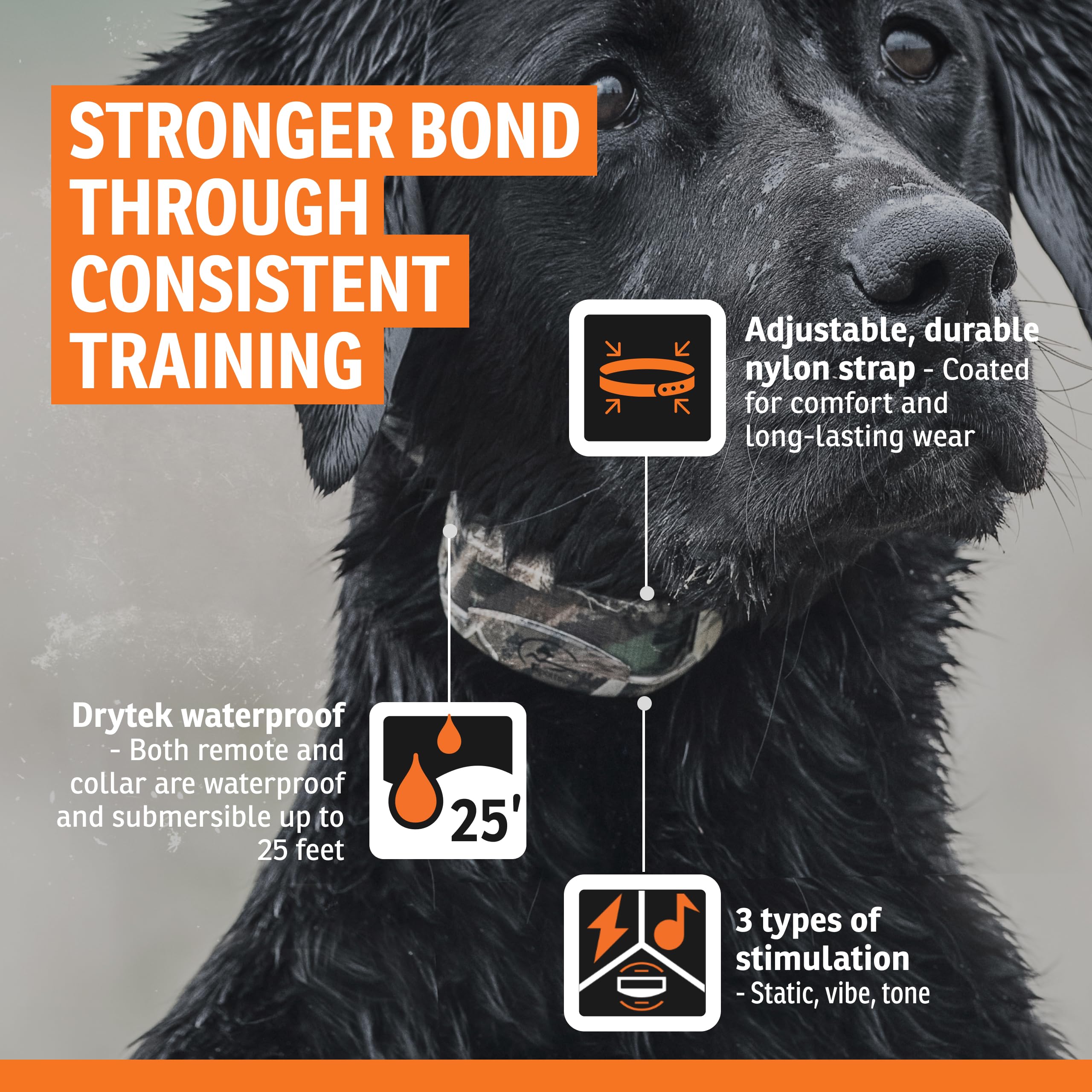 SportDOG WetlandHunter 425X battery recharge illustrating long runtime for extended sessions.