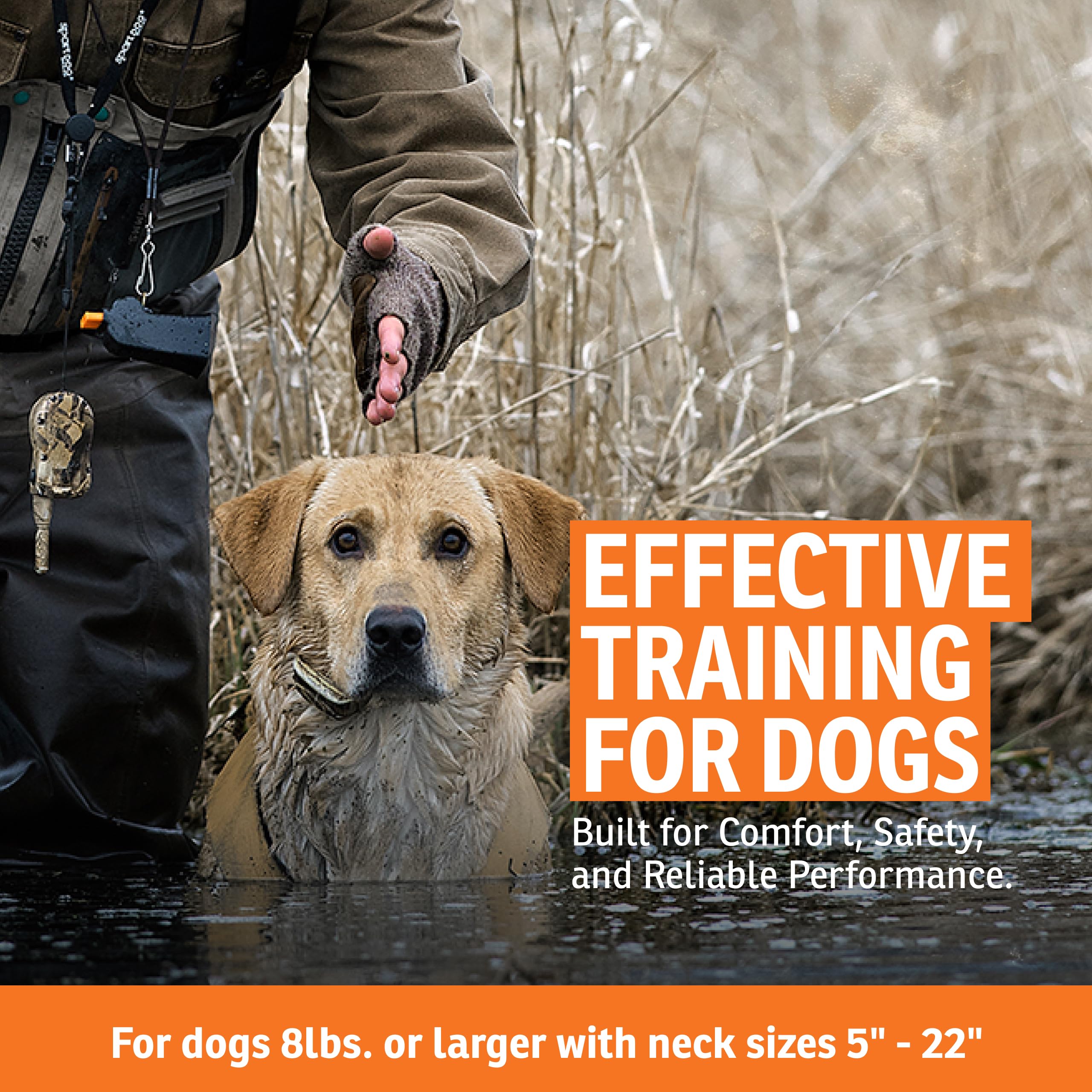 SportDOG WetlandHunter 425X DryTek waterproofing up to 25 feet for wet field use.