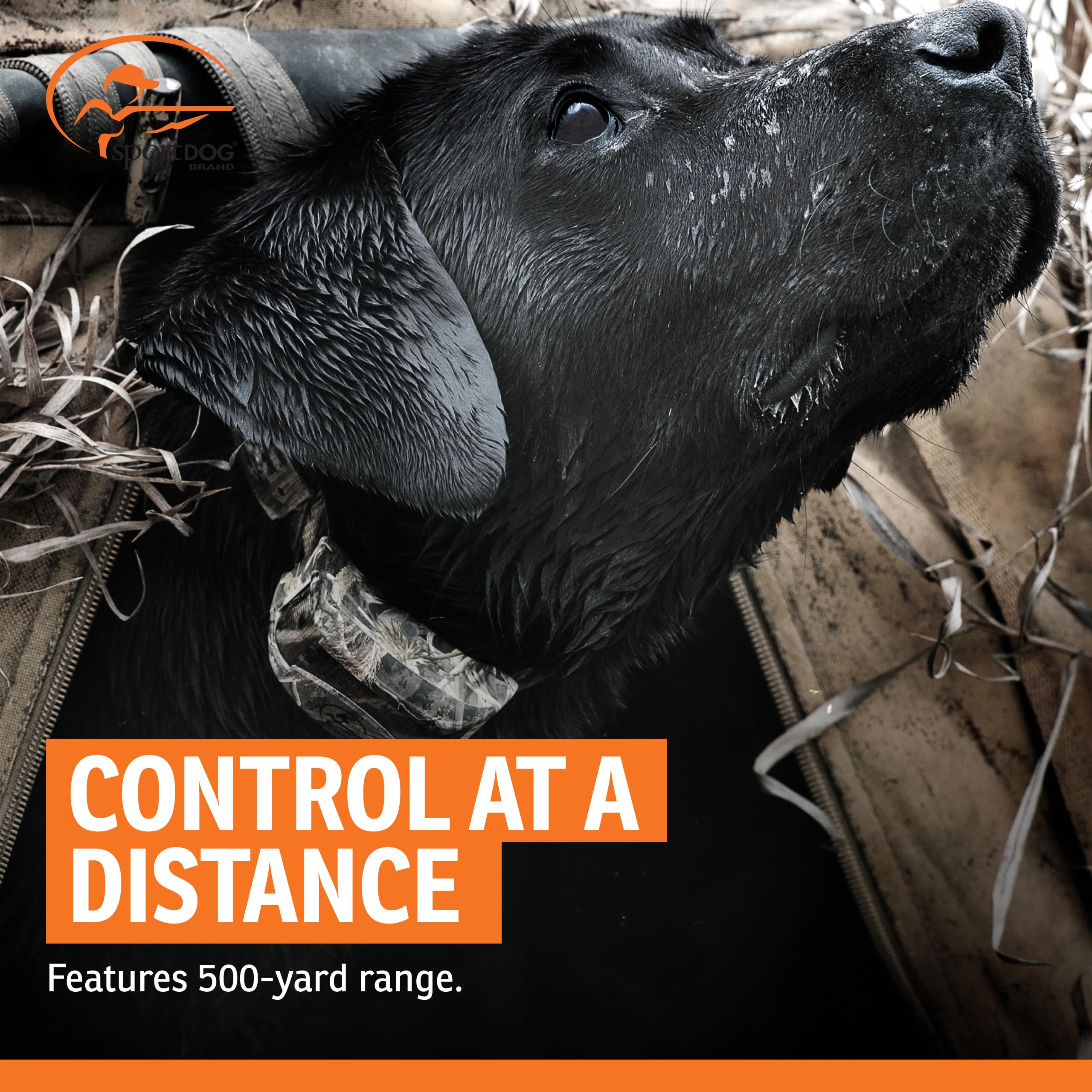 SportDOG WetlandHunter 425X supports multiple dogs from one remote for versatility.