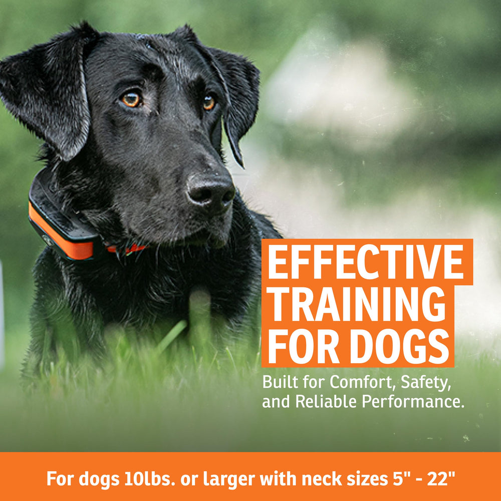 SportDOG 1,000-foot wire layout demonstrates wide containment across property.