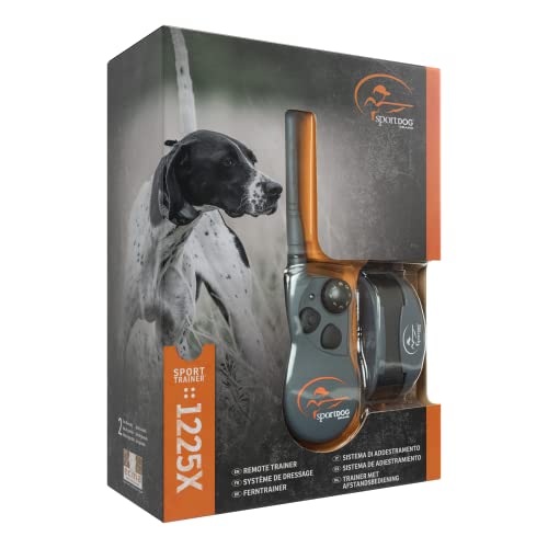 SportDOG YardTrainer in-use in backyard demonstrates off-leash training.