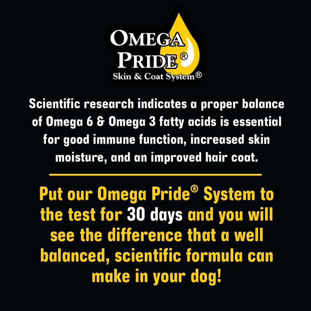 Sportsman's Pride Field Master happy dog after meal demonstrates satisfaction.