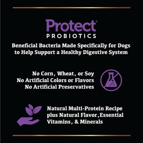 Sportsman's Pride Field Master kibble closeup reveals texture for chewing.