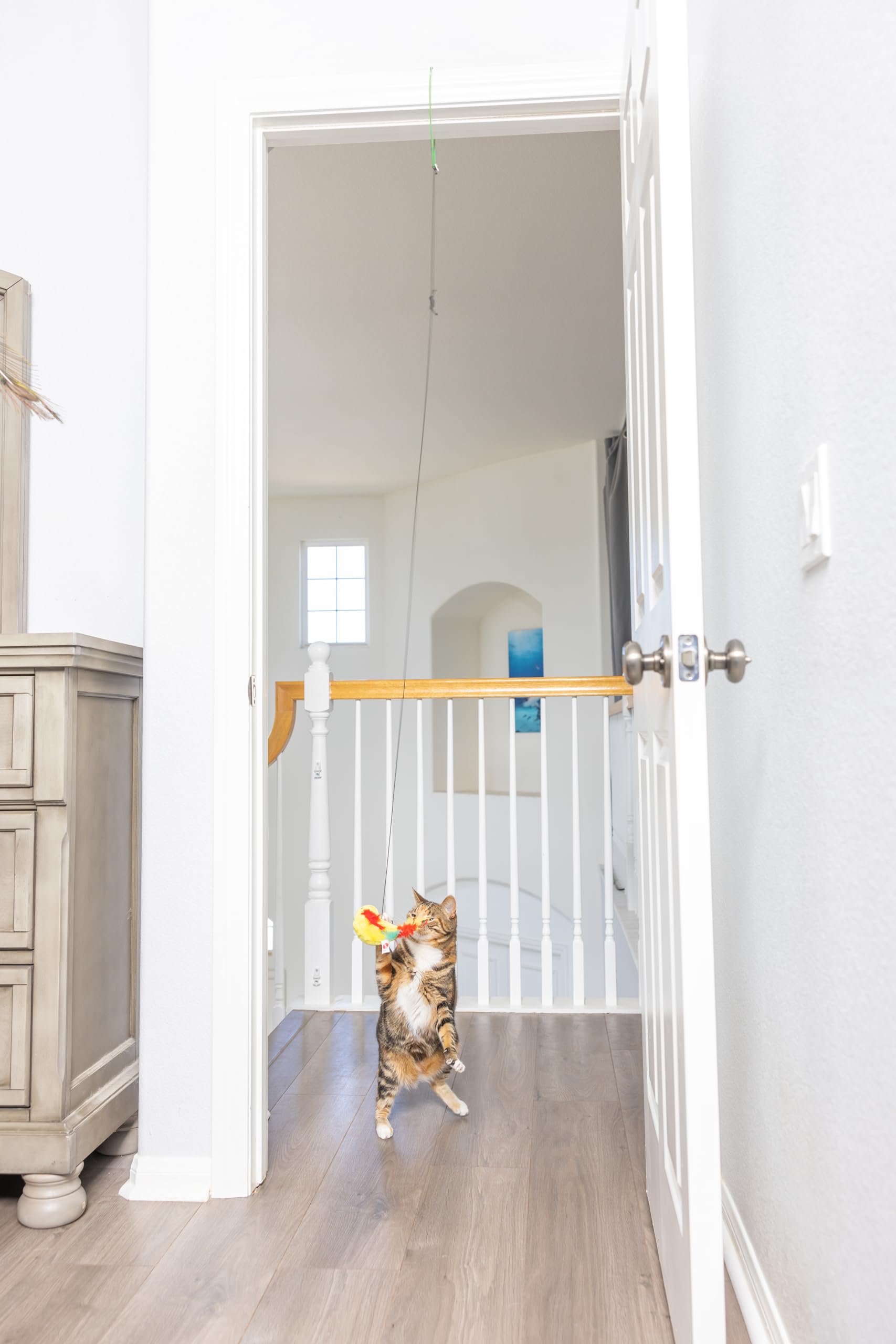 SPOT A-Door-Able plush bird toy safety clip promotes safe, worry-free play.