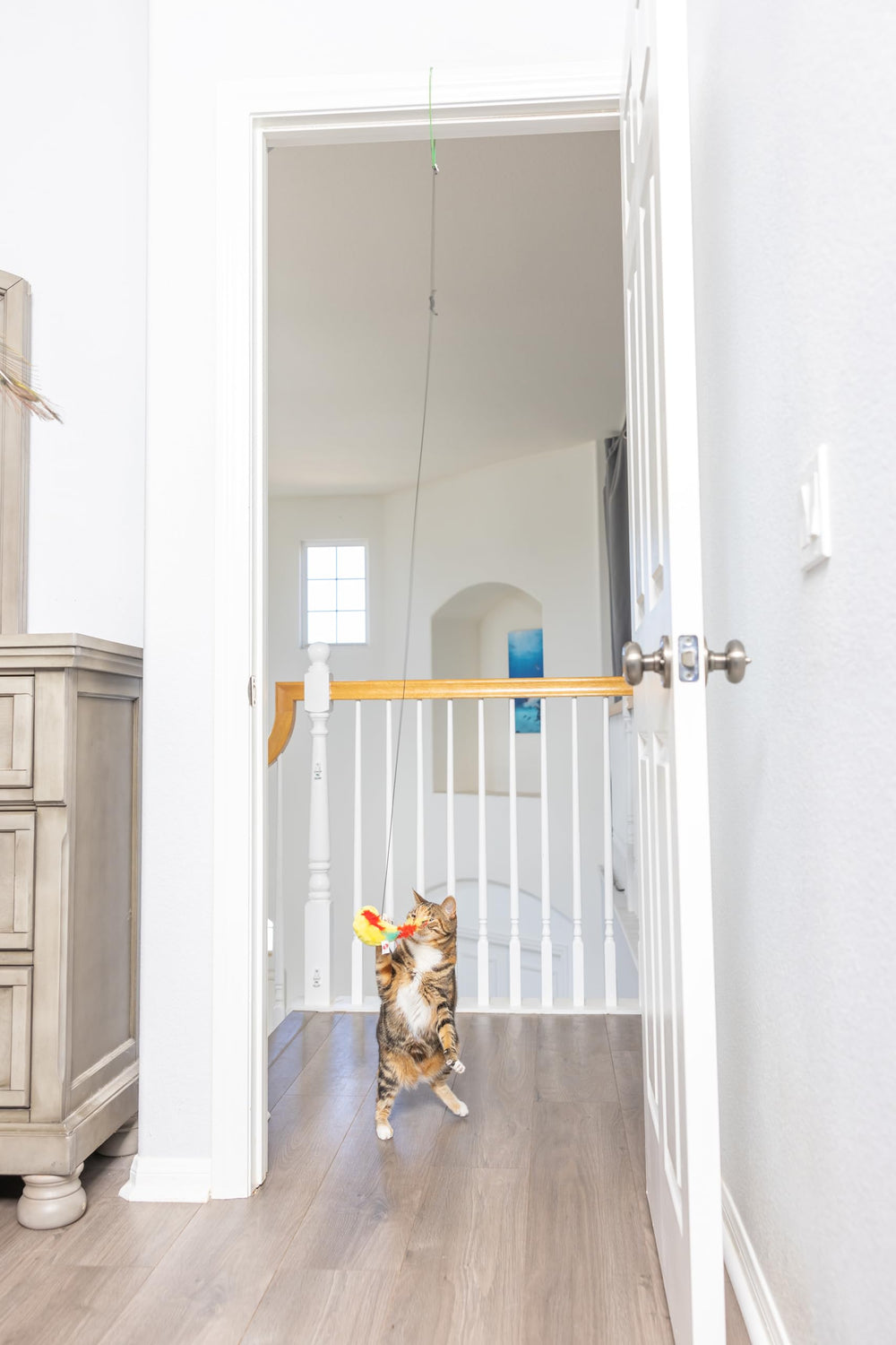 SPOT A-Door-Able plush bird toy safety clip promotes safe, worry-free play.