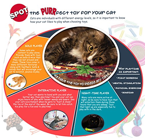 SPOT Atomic bouncing ball pack of 2 colors supports safe indoor fun.