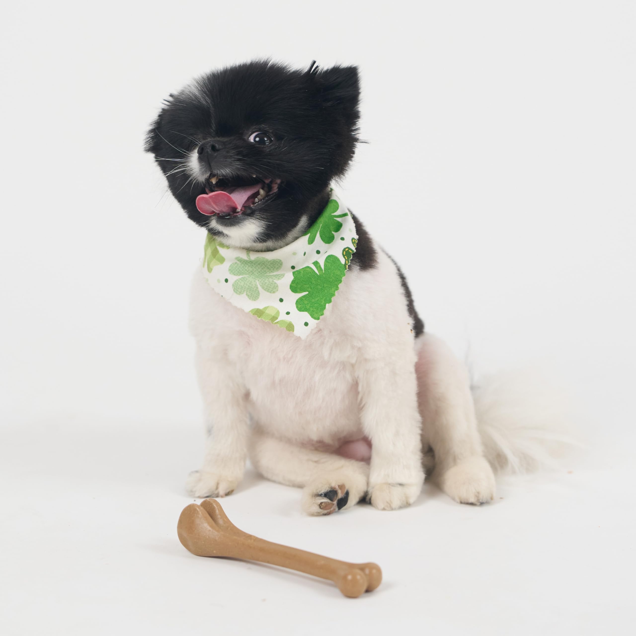 SPOT Bam-Bones bone adult dog use for calm chewing sessions.
