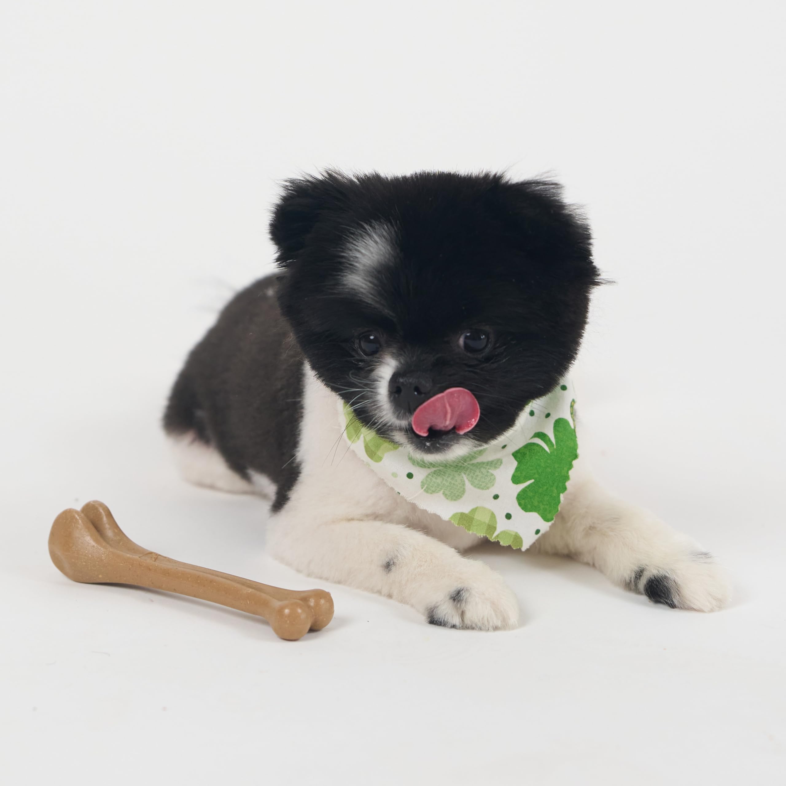 SPOT Bam-Bones bone bite action demonstrates satisfying flavor during play.