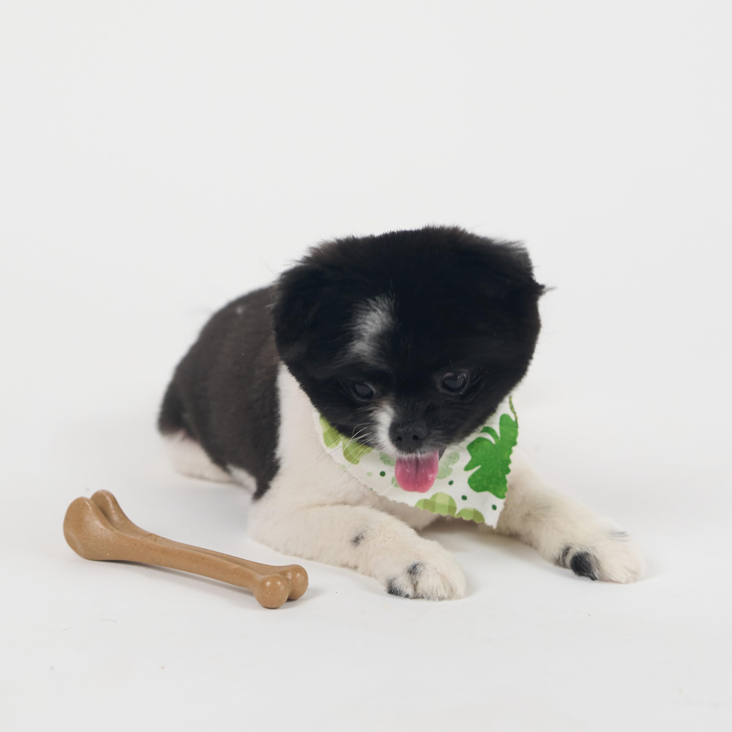 SPOT Bam-Bones bone durable construction for daily chewing and play.
