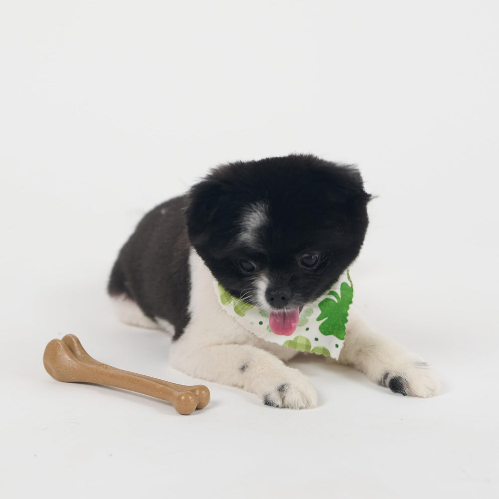 SPOT Bam-Bones bone durable construction for daily chewing and play.