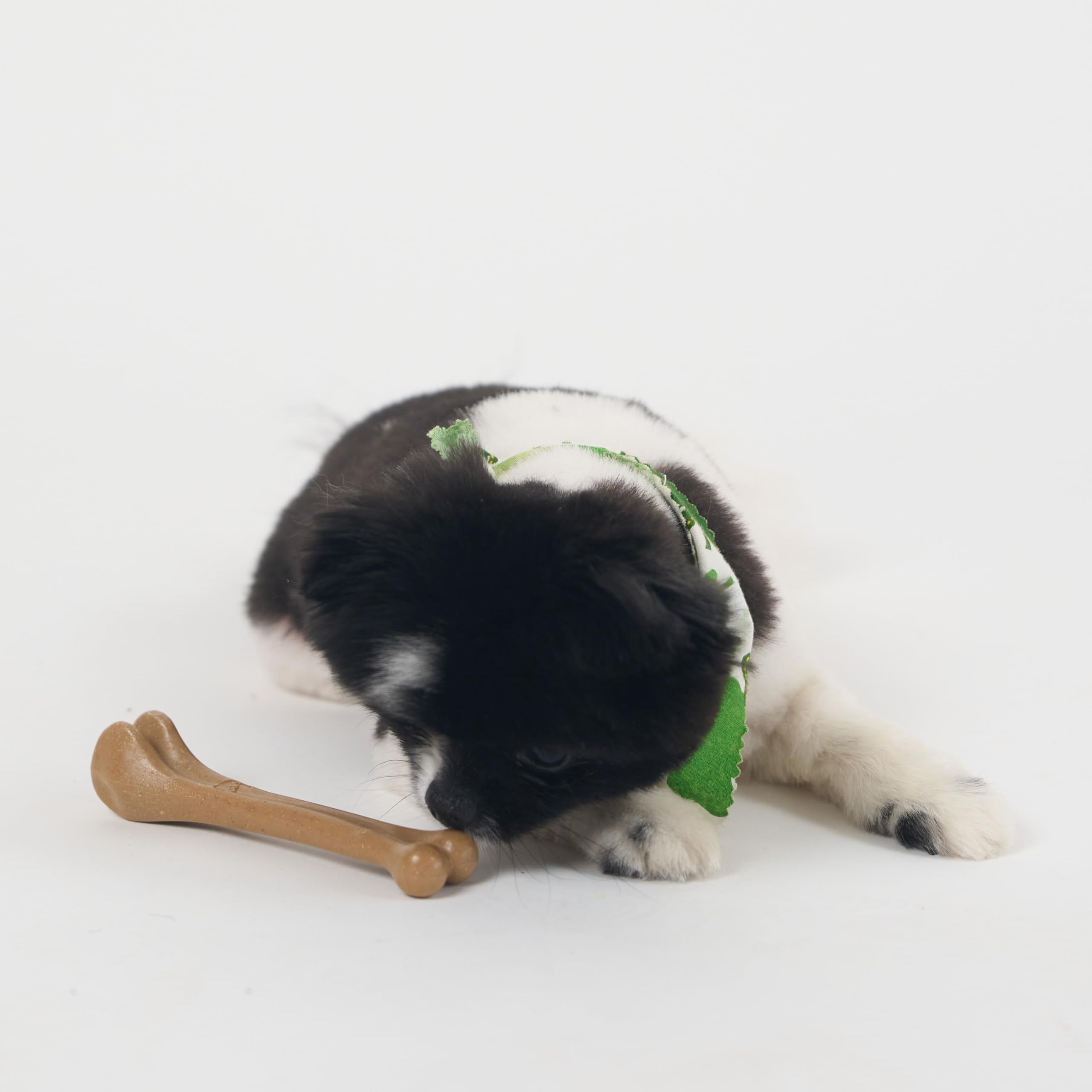 SPOT Bam-Bones bone packaging eco-friendly concept appeals to eco-conscious owners.