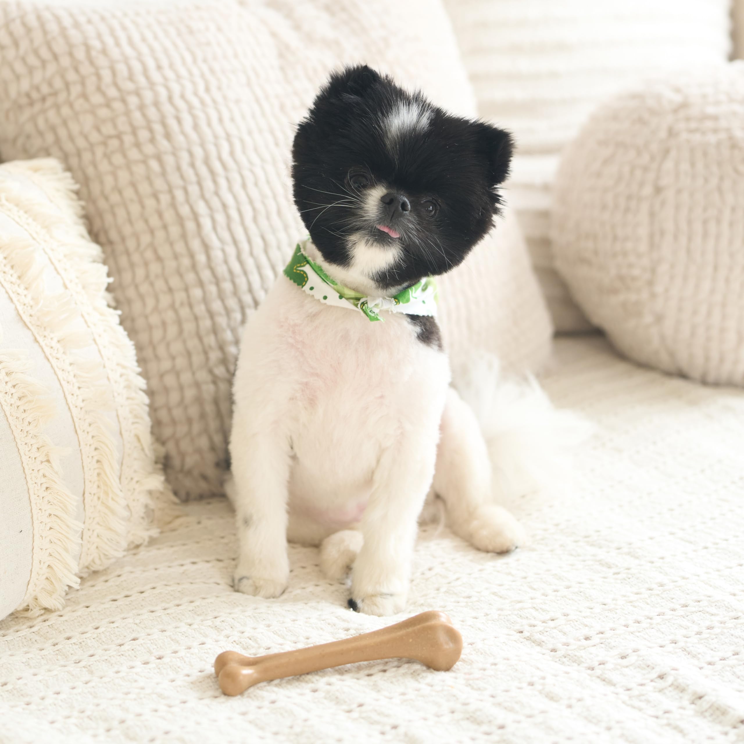 SPOT Bam-Bones bone texture detail highlights natural bamboo chew feel.