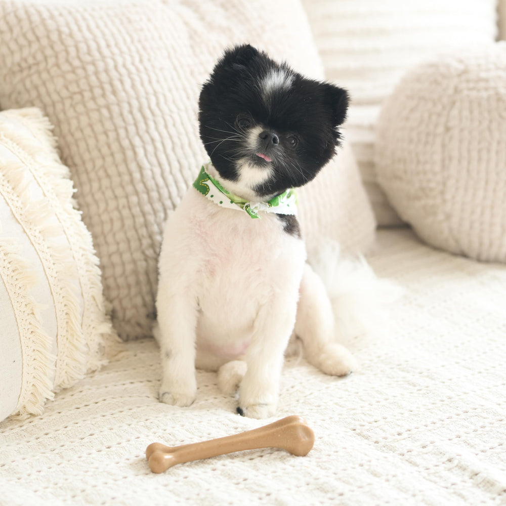 SPOT Bam-Bones bone texture detail highlights natural bamboo chew feel.