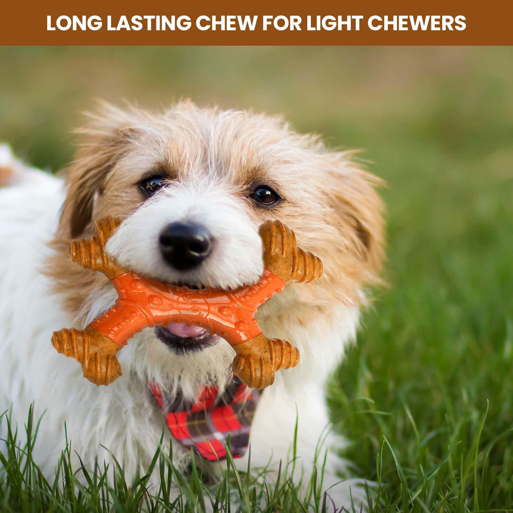 SPOT Bam-Bones allergen-free peanut butter flavor appeals to dogs during play