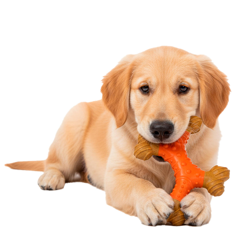 SPOT Bam-Bones durable nylon-bamboo material endures tough chewers and long-lasting use