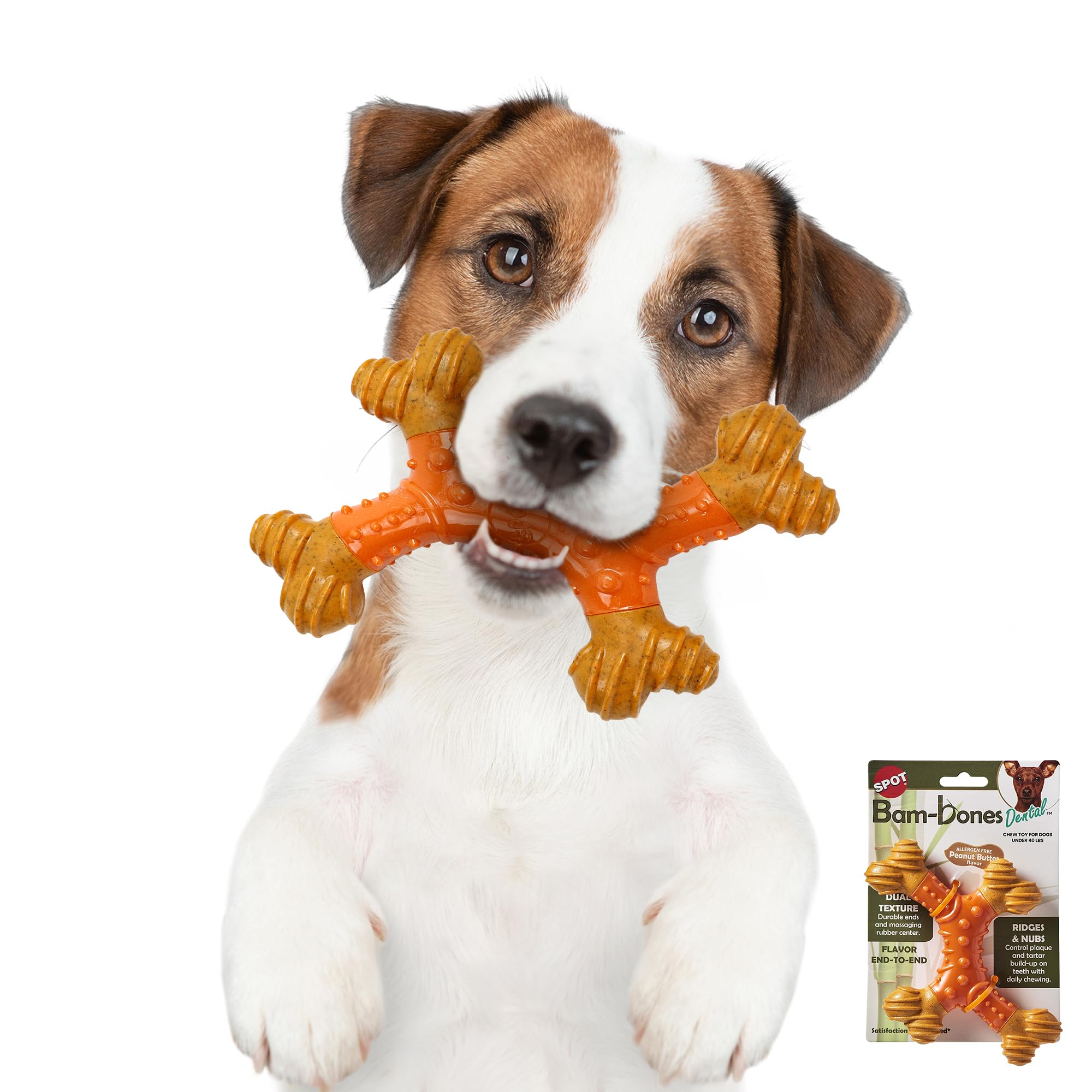 SPOT Bam-Bones massaging center demonstrates soothing chew sessions for teething puppies