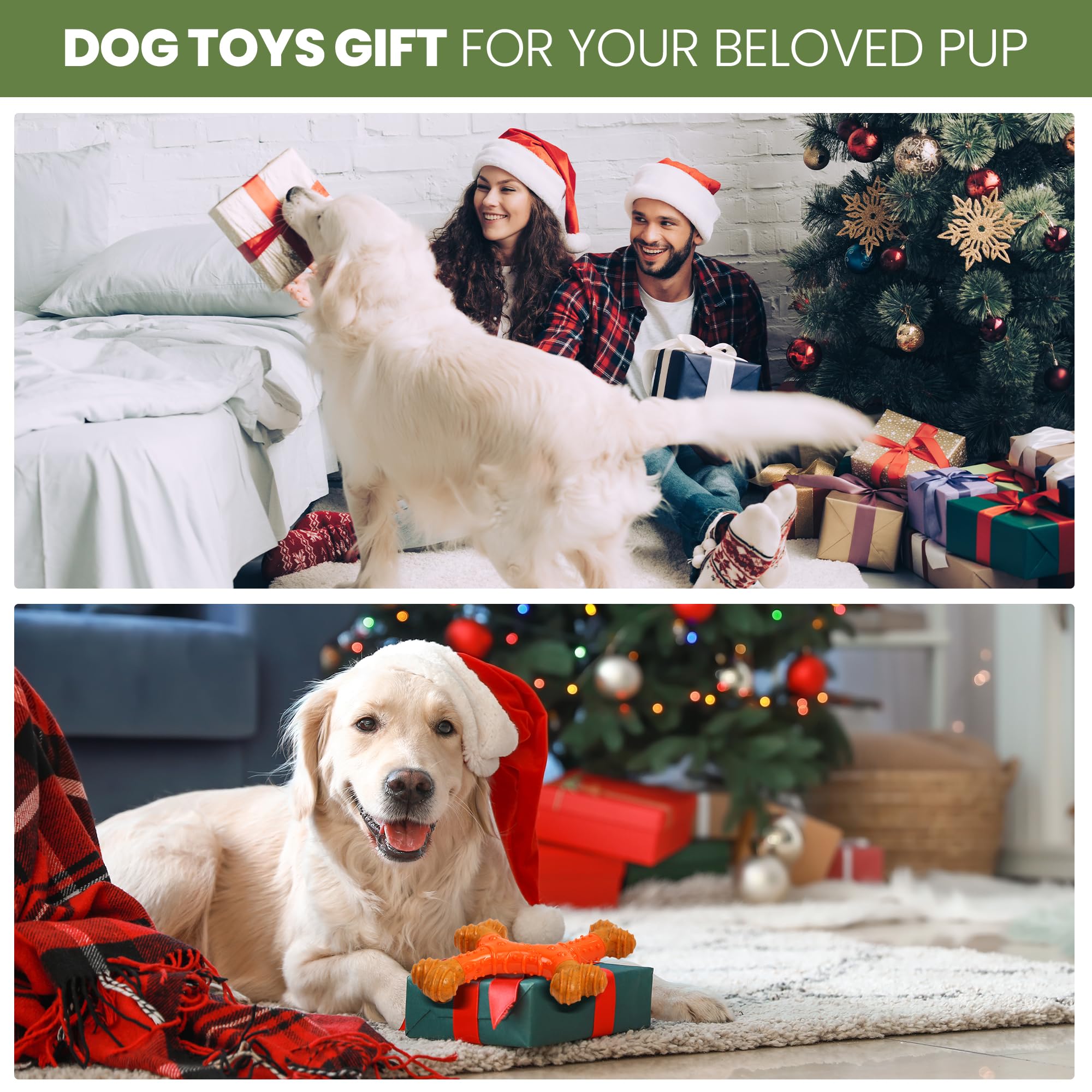 SPOT Bam-Bones packaging photo communicates values like sustainability and safety