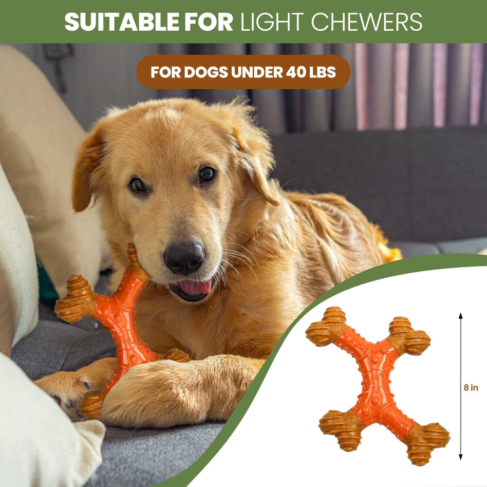 SPOT Bam-Bones 6in image shows ideal for owners seeking daily chew routines
