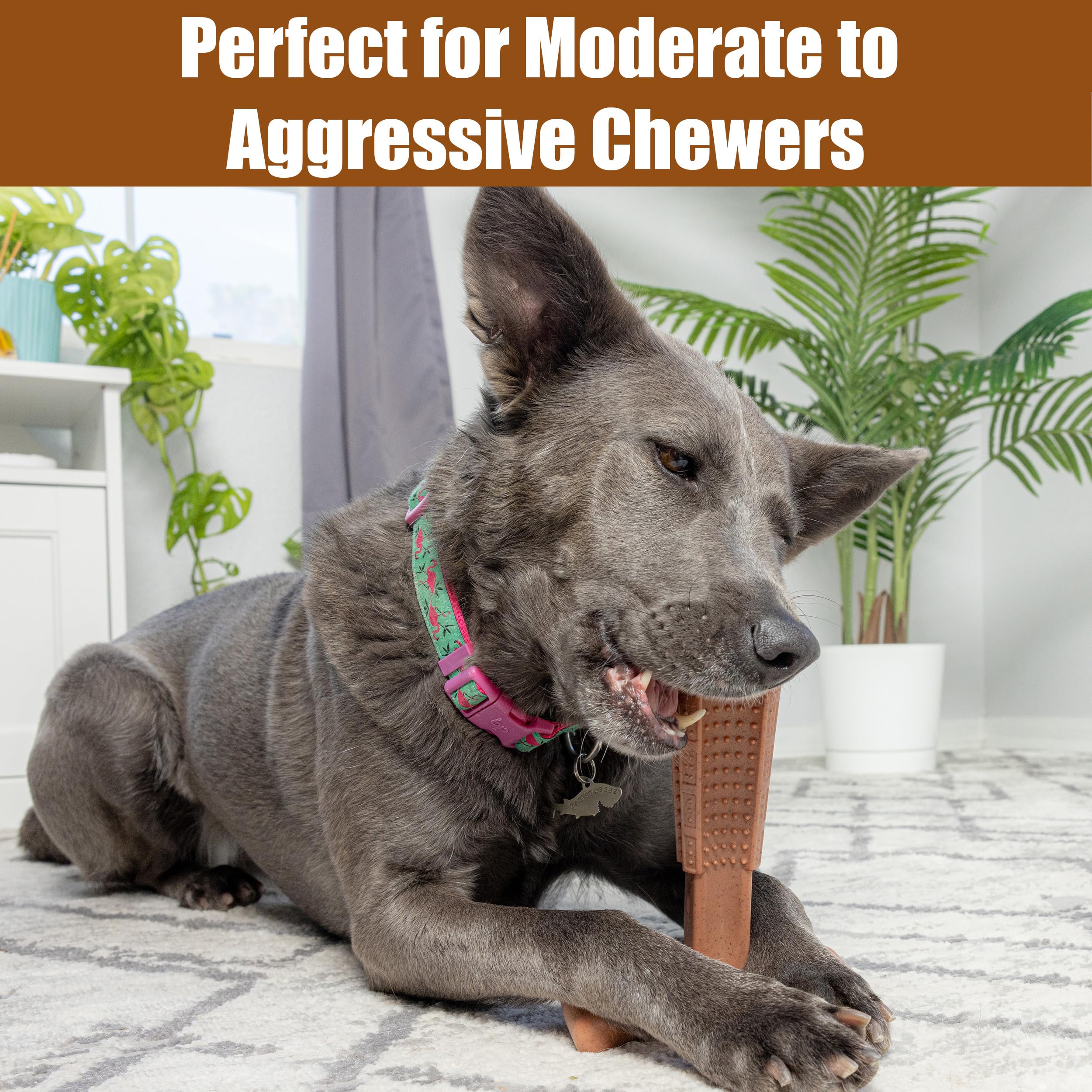 SPOT Bam-Bones Plus T Bone 7-inch size for under-90-lb dogs