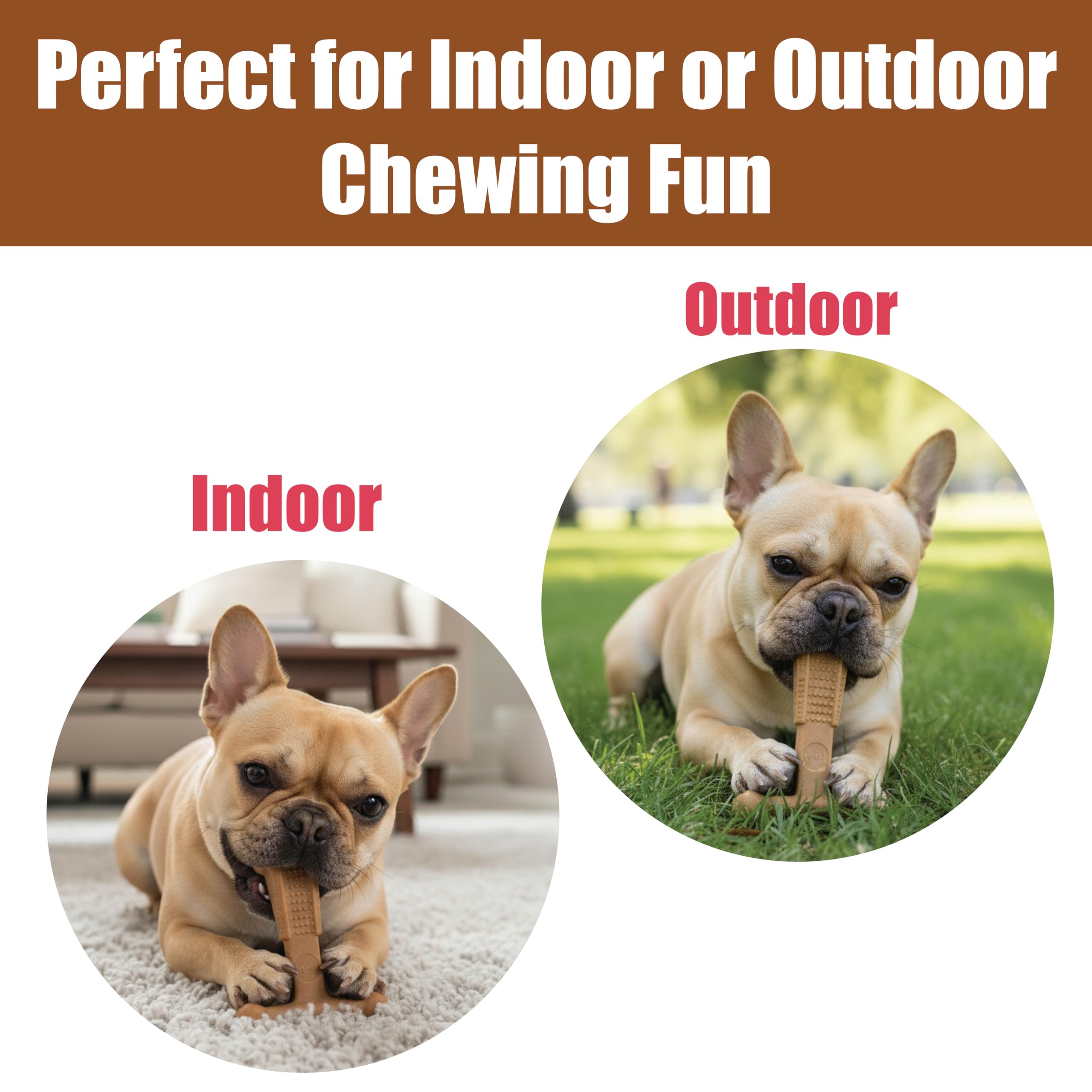 SPOT Bam-Bones Plus T-Bone rugged chew for aggressive chewers indoors and outdoors.
