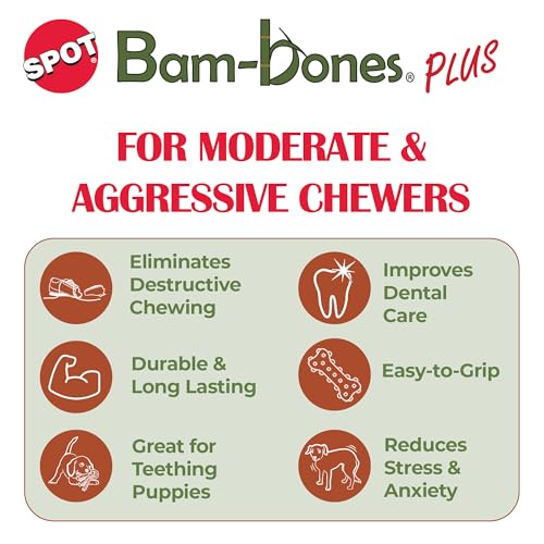 SPOT Bam-Bones Plus T-Bone dental action highlights teeth cleaning and gum massage potential.