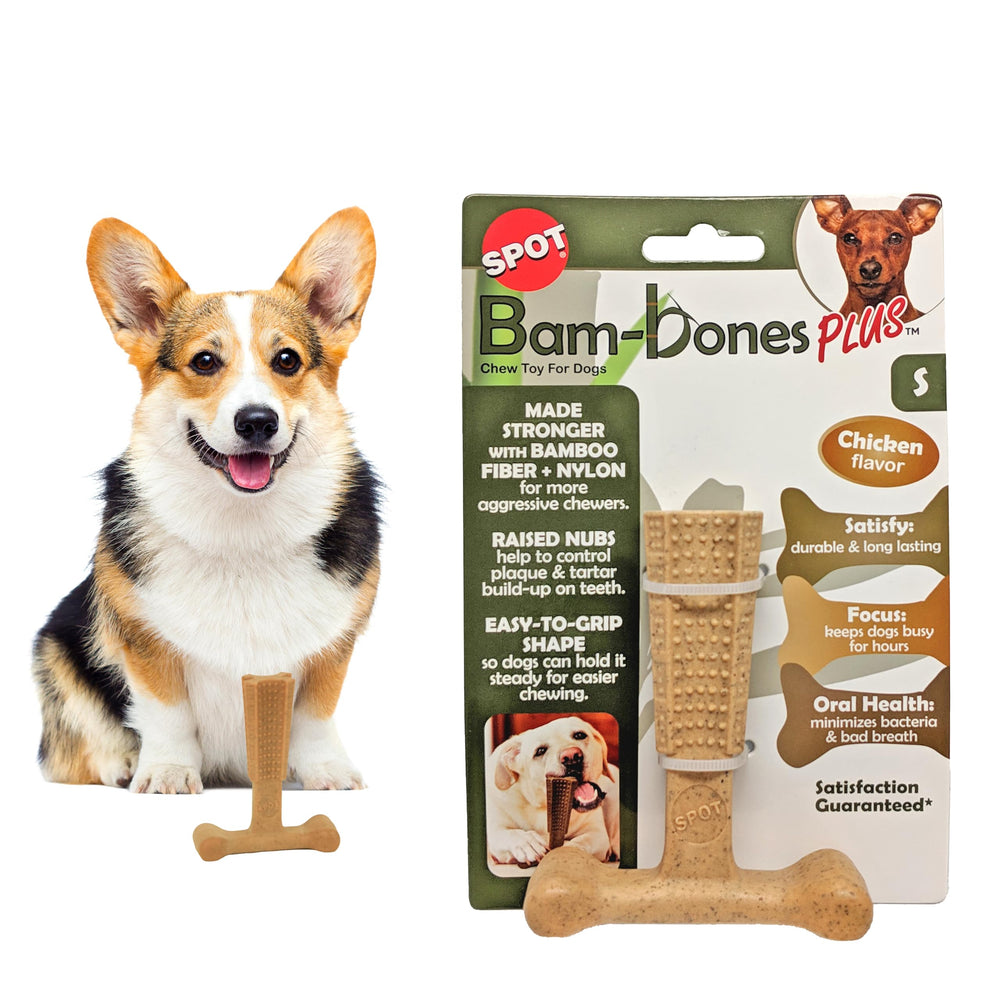 SPOT Bam-Bones Plus T-Bone front view shows durable chew for strong chewers.