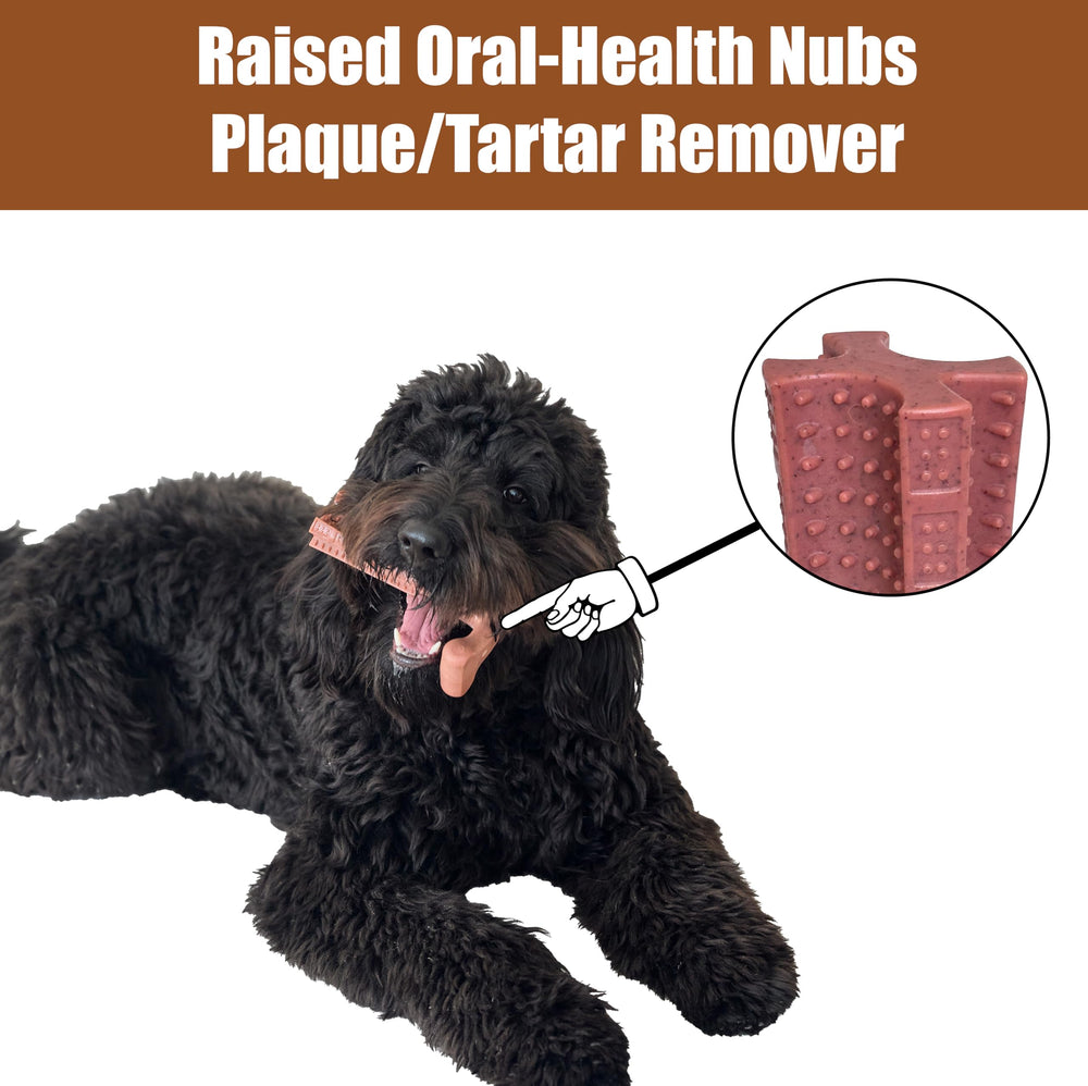 SPOT Bam-Bones Plus T Bone indoor play scene