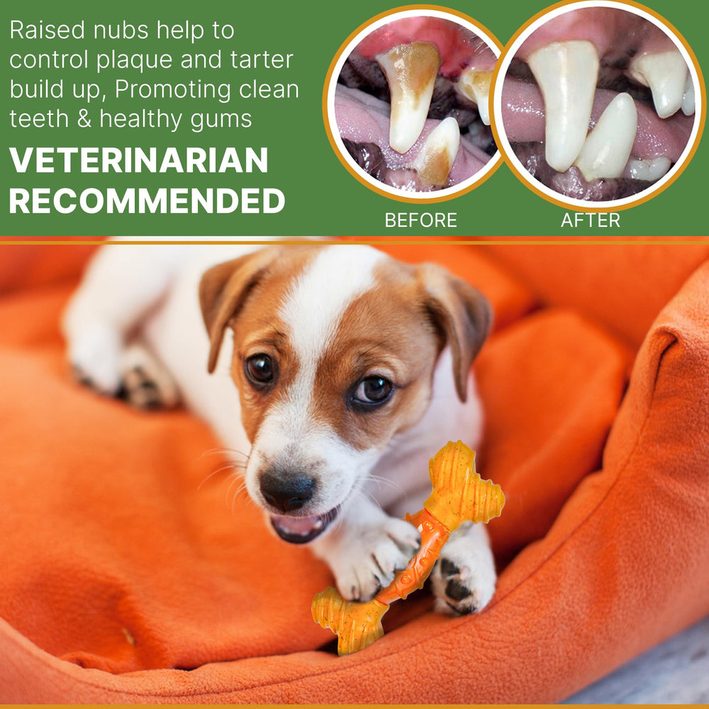 SPOT Bam-Bones durable nylon-bamboo chew supports safe daily use