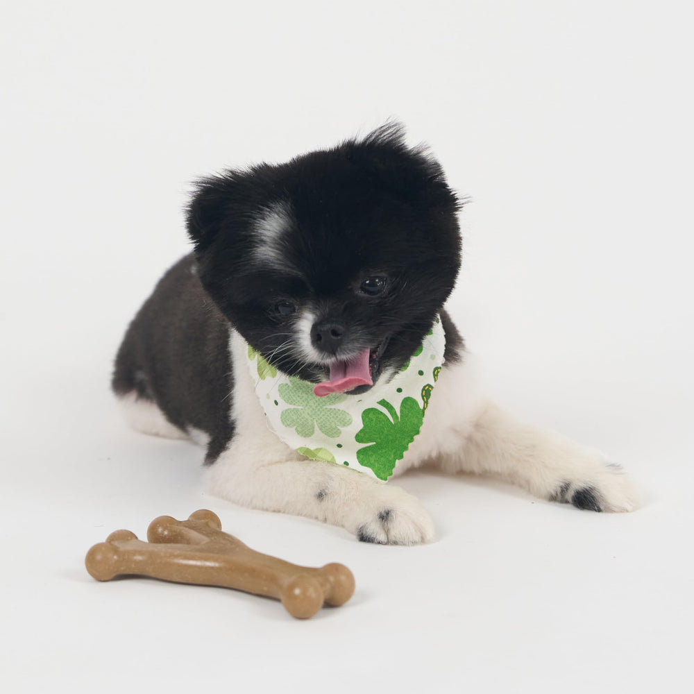 SPOT Bam-Bones Wishbone shown on floor with mess-free design.