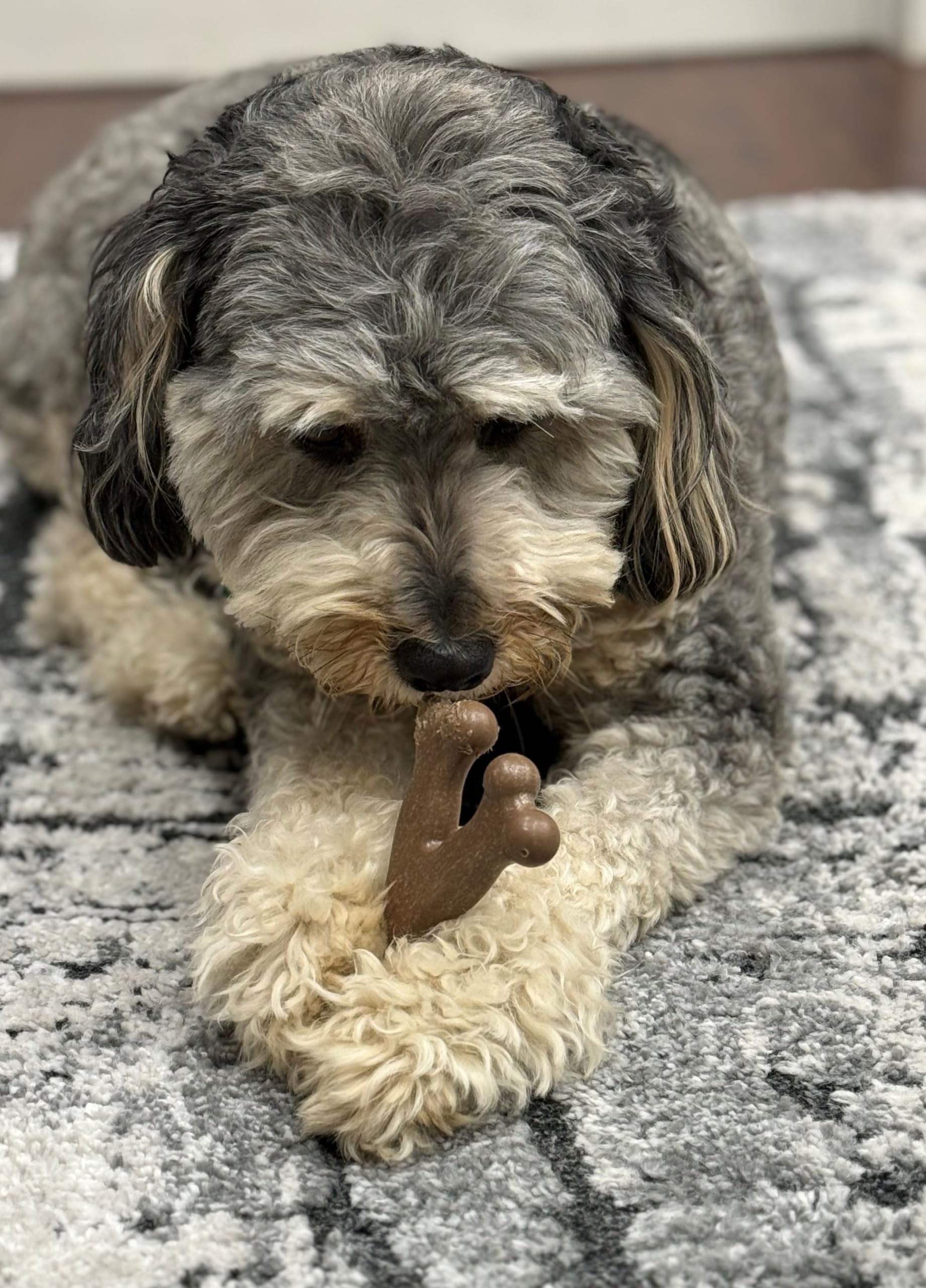 SPOT Bam-Bones Wishbone non-splintering material as a safer alternative to sticks.