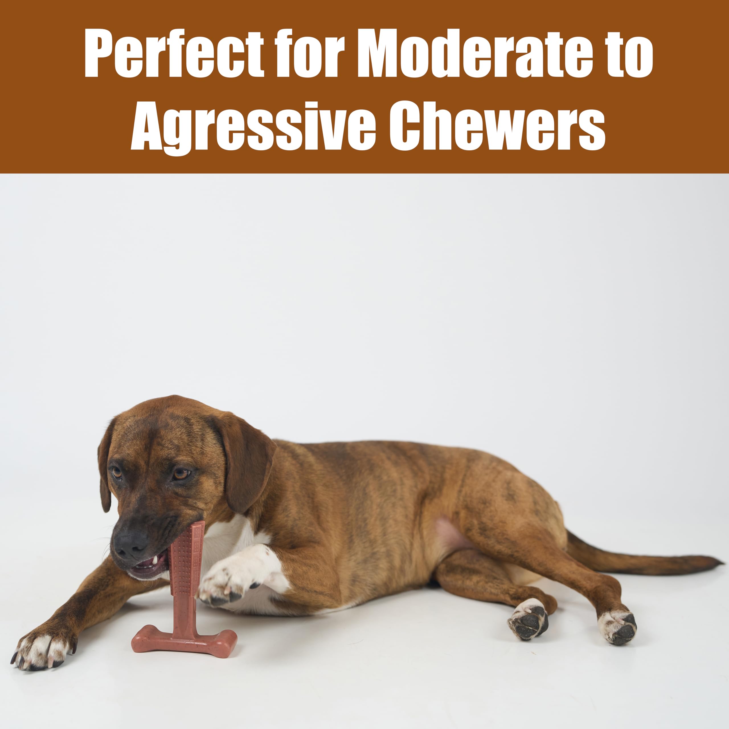 SPOT Bam-Bones Plus T-Bone for-teething-puppies supports soothing chewing during teething.